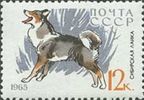 Venäjä NL (CCCP) 1965 - Dogs - 12k East Siberian Laika Venäjä NL (CCCP) 1965 - Dogs - 12k East Siberian Laika