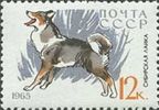 Russia SU (CCCP) 1965 - Dogs - 12k East Siberian Laika