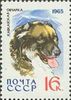 Venäjä NL (CCCP) 1965 - Dogs - 16k Caucasian Shepherd