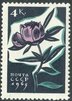 Venäjä NL (CCCP) 1965 - Flowers 4k Peony Venäjä NL (CCCP) 1965 - Flowers 4k Peony