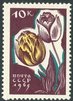 Russia SU (CCCP) 1965 - Flowers 10k Tulips