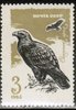 Venäjä NL (CCCP) 1965 - Birds - 3k, Tawny eagle