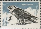 Venäjä NL (CCCP) 1965 - Birds - 14k, Lammergeier