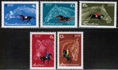 Russia SU (CCCP) 1967 - Horses (5) Russia SU (CCCP) 1967 - Horses (5)