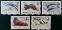 Russia SU (CCCP) 1971 - Sea Mammals (5) FDC