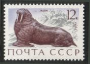 Venäjä NL (CCCP) 1971 - Sea Mammals 4/5 Walrus