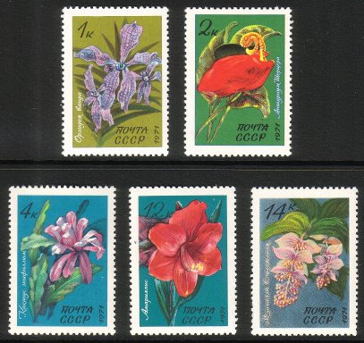 Russia SU (CCCP) 1971 - Flowers (5)