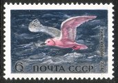 Venäjä NL (CCCP) 1972 - Waterfowl 2/5 Ross gull