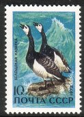 Russia SU (CCCP) 1972 - Waterfowl 3/5 Barnacle geese