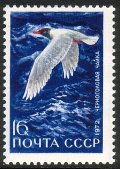 Venäjä NL (CCCP) 1972 - Waterfowl 5/5 Mediterranean gull