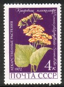 Venäjä NL (CCCP) 1972 - Medicinal Plants 3/5 Groundsel