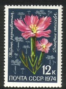 Russia SU (CCCP) 1974 - Flowers 5/5