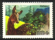 Venäjä NL (CCCP) 1975 - Wildlife reservations 2/5 Altai roebuck