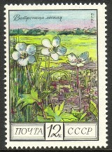 Venäjä NL (CCCP) 1975 - Regional Flowers 4/5