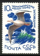 Russia SU (CCCP) 1976 - Nature protection, Waterfowl 5/5 Slender-billed gull