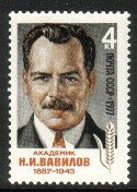 Venäjä NL (CCCP) 1977 - N. I. Vavilov (1887-1943), agricultural geneticist