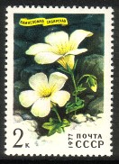 Russia SU (CCCP) 1977 - Siberian Flowers 1/5