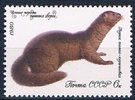 Venäjä NL (CCCP) 1980 - Valuable species of fur-bearing animals - 6k Mink