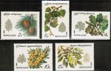 Russia SU (CCCP) 1980 - Protected Trees and Shrubs (5)