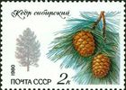 Venäjä NL (CCCP) 1980 - Protected Trees and Shrubs - 2k Siberian pine Venäjä NL (CCCP) 1980 - Protected Trees and Shrubs - 2k Siberian pine
