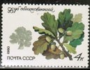 Russia SU (CCCP) 1980 - Protected Trees and Shrubs - 4k Oak