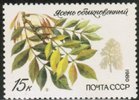 Venäjä NL (CCCP) 1980 - Protected Trees and Shrubs - 15k European ash Venäjä NL (CCCP) 1980 - Protected Trees and Shrubs - 15k European ash