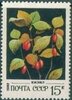 Russia SU (CCCP) 1982 - Wild Berries - 15k Cherries