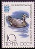 Venäjä NL (CCCP) 1982 - Rare birds - 10k Eulabeia indica