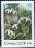 Venäjä NL (CCCP) 1983 - Spring Flowers - 4k Snowdrops (Galanthus nivalis)