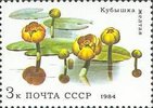 Venäjä NL (CCCP) 1984 - Aquatic Plants - 3k Water lilies Venäjä NL (CCCP) 1984 - Aquatic Plants - 3k Water lilies