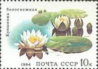 Russia SU (CCCP) 1984 - Aquatic Plants - 10k White nymphaea