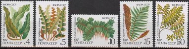 Venäjä NL (CCCP) 1987 - Ferns (5)