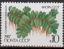 Venäjä NL (CCCP) 1987 - Ferns - 10k Salvinia natans