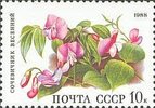 Venäjä NL (CCCP) 1988 - Flowers - 10k Orobus vernus