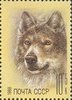 Russia SU (CCCP) 1988 - ZOO Relief Fund Animals - 10+5 Wolf