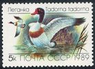 Venäjä NL (CCCP) 1989 - Ducks - 5k Tadorna tadorna