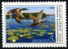 Russia SU (CCCP) 1990 - Duck Conservation - 5k Anasplaty rhychos