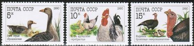 Russia SU (CCCP) 1990 - Poultry (3)