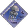 Venäjä NL (CCCP) 1991 - Marine Animals of the Black Sea - 4k Jellyfish Venäjä NL (CCCP) 1991 - Marine Animals of the Black Sea - 4k Jellyfish