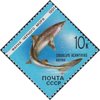 Venäjä NL (CCCP) 1991 - Marine Animals of the Black Sea - 10k Spurdog Venäjä NL (CCCP) 1991 - Marine Animals of the Black Sea - 10k Spurdog