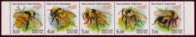Venäjä 2005 - Bumblebees 1x5 Venäjä 2005 - Bumblebees 1x5