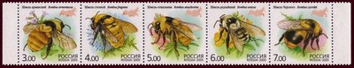 Russia 2005 - Bumblebees 1x5