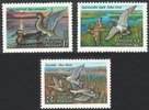 Russia 1992 - Ducks (3) Russia 1992 - Ducks (3)