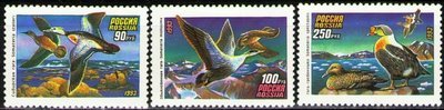 Russia 1993 - Ducks (3)