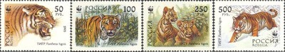 Venäjä 1993 - Ussurian Tiger WWF (4)