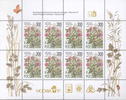 Venäjä 1995 - Flowers Red Clover (sheet of 8) with Moscow-97 print