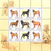 Venäjä 2002 - Dogs (sheet of 9) Venäjä 2002 - Dogs (sheet of 9)