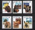 Sahara 2000 - Dogs (6) Sahara 2000 - Dogs (6)