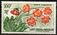 St. Pierre ja Miquelon 1962 - Sarracema purpurea St. Pierre ja Miquelon 1962 - Sarracema purpurea
