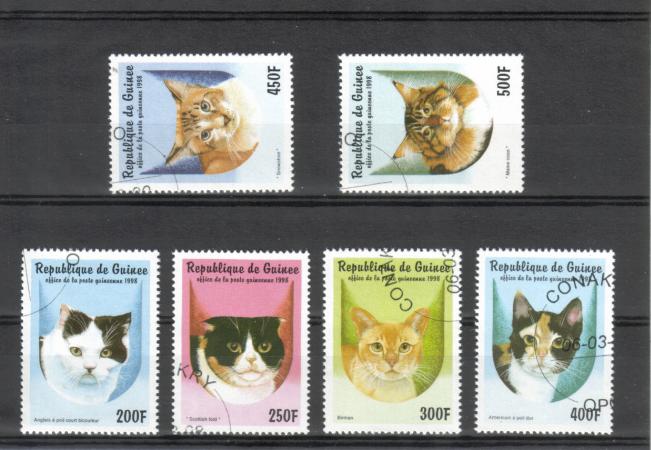 Guinea 1998 - Domestic Cats